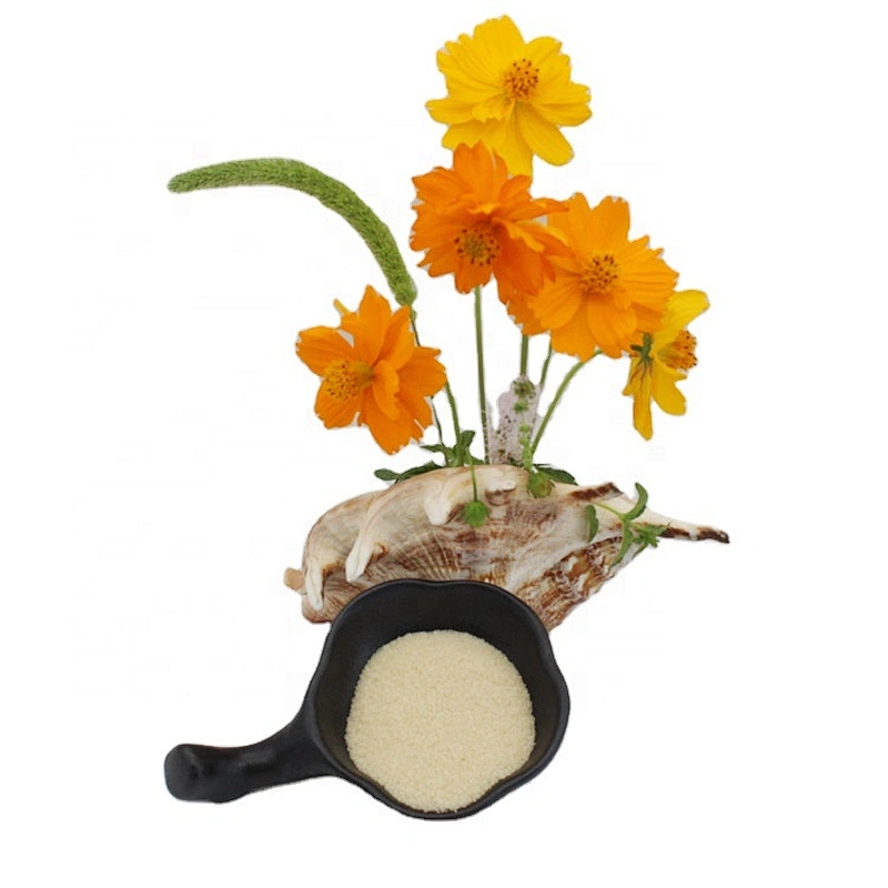 2024 Hot Sale Edible Gelatin Powder 120-280bloom